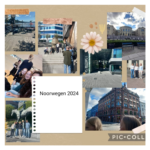 Uitwisseling Oslo voor dEmocRASMUS